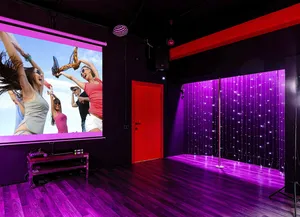 BAD_GIRL_LOFTFORPARTY_3