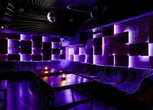MOON_LOFT_LOFTFORPARTY_.8jpg