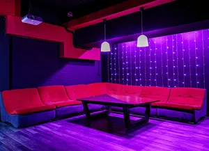 BAD_GIRL_LOFTFORPARTY_1